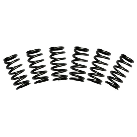 BD Diesel Valve Spring Kit 60lb Cummins 5.9 12-valve thumbnail 5