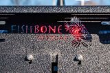 Fishbone Offroad 2016+ Tacoma Chase Rack w Molle Window Panel thumbnail 4