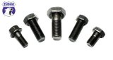 Yukon Gear Bolt/Screw For Adjuster Lock For Chrysler 7.25in / 8.25in / 8.75in / 9.25in thumbnail 4