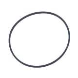 Yukon Gear O-Ring For Left Hand Carrier Bearing Adjuster For 9.25in GM IFS thumbnail 2