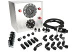 Aeromotive 2010 Ford Cobra Jet Back Half Fuel System thumbnail 2