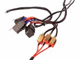 Aeromotive Wiring Harness Kit - Triple Fuel Pump thumbnail 2
