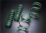 Tein 05+ Mustang V8 GT S. Tech Springs thumbnail 1