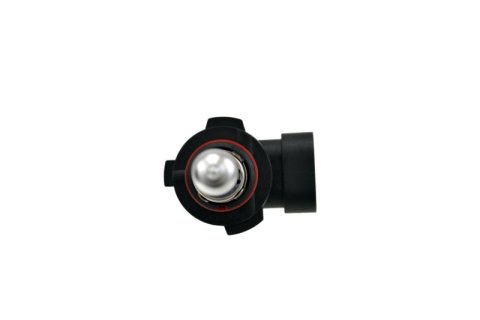 Hella H10 12V 65W Xen White Bulb (Pair) thumbnail 1