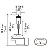 Hella Bulb 896 12V 37.5W PGJ13 T3.25 thumbnail 3