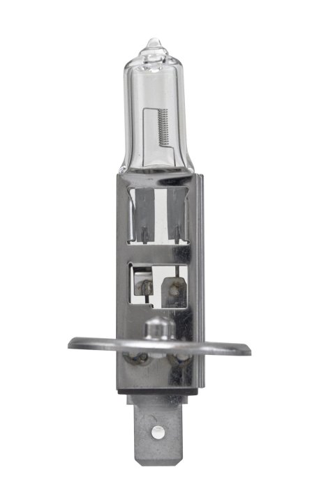 Hella Bulb H1 12V 55W P14.5s T2.5 LONGLIFE thumbnail 1