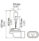 Hella Bulb 889 12V 27W Pgj13 T325 thumbnail 2