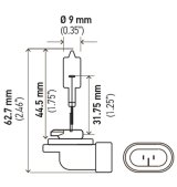 Hella Bulb 889 12V 27W Pgj13 T325 thumbnail 4
