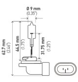 Hella Bulb 889 12V 27W Pgj13 T325 thumbnail 7