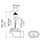 Hella Bulb 898 12V 375W Pgj13 T325 thumbnail 7
