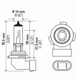 Hella Bulb H10/9145 12V 45W Py20D T4 Sb thumbnail 6