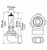 Hella Bulb H10/9145 12V 45W Py20D T4 Sb thumbnail 7