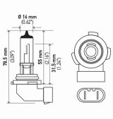 Hella Bulb H10/9145 12V 45W Py20D T4 Sb thumbnail 8
