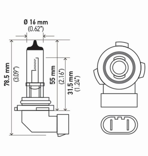 Hella Bulb H10/9145 12V 45W Py20D T4 (2) thumbnail 5