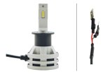 Hella Bulb H3 12/24V 19W Set of 2 thumbnail 3