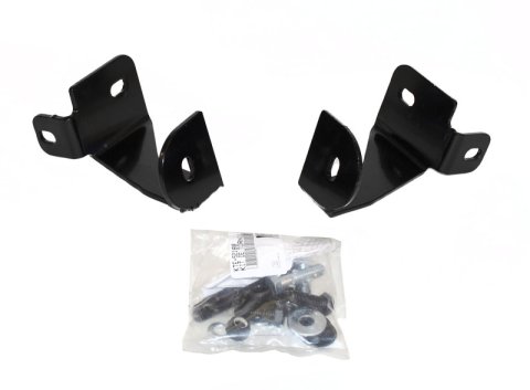 Go Rhino 05-15 Toyota Tacoma RC2 LR 20in Light Mnt Complete Kit w/Front Guard + Brkts (1x gor55317T, 1x gor55525)