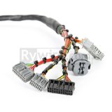Rywire Honda B-Series Mil-Spec Engine Harness w/Chassis Specific Adapter (1x rywRY-B2-MILSPEC, 1x rywRY-B-SUB-DA-LATE-GSR) thumbnail 2