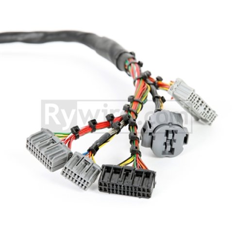 Rywire Honda B-Series Mil-Spec Engine Harness w/Chassis Specific Adapter (1x rywRY-B2-MILSPEC, 1x rywRY-B-SUB-EA-LATE) thumbnail 2