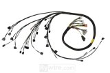 Rywire 02-04 K-Series RWD Mil-Spec Engine Harness w/Chassis Specific Adapter (1x rywRY-K2-RWD, 1x rywRY-K2-RWD-SUB-S2K) thumbnail 1