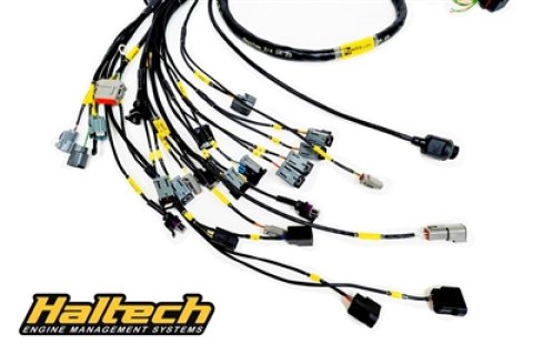 Rywire Honda K-Series (w/Haltech Elite 1500+) Engine Harness w/Chassis Specific Adapter (1x rywRY-B-SUB-EF-DX-EARLY, 1x rywRY-K2-HALTECH-ELITE) thumbnail 1