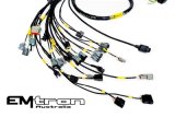 Rywire Honda K-Series (w/Emtron KV8 ECU) Engine Harness w/Chassis Specific Adapter (1x rywRY-B-SUB-DA-LATE, 1x rywRY-K2-EMTRON-KV8) thumbnail 1