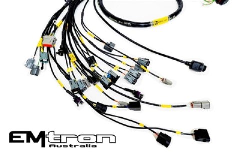 Rywire Honda K-Series (w/Emtron KV8 ECU) Engine Harness w/Chassis Specific Adapter (1x rywRY-B-SUB-EG-2B, 1x rywRY-K2-EMTRON-KV8) thumbnail 2