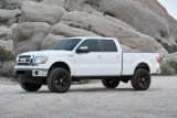 Fabtech 09-13 Ford F150 4WD 4in Perf Sys w/Dlss 2.5 C/O Resi & Rr Dlss (1x fabFTS22155, 1x fabFTS22157, 1x fabFTS22189, 2x fabFTS810292) thumbnail 2