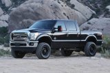 Fabtech 08-16 Ford F250/F350 4WD 4in Rad Arm Sys w/Coils & Stealth (1x fabFTS22207, 1x fabFTS22209, 1x fabFTS22211, 2x fabFTS6063, 2x fabFTS6236) thumbnail 2