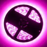 Oracle Exterior Black Flex LED Spool - Pink thumbnail 2