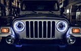 Oracle Jeep Wrangler TJ 97-06 LED Waterproof Halo Kit - White thumbnail 6