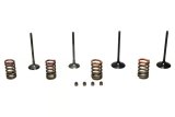 Wiseco Piston Garage Buddy Steel Valve Kits for 2011-2016 KX250F - SVKB4341 Valves, Kits, Intake and Exhaust, Stock Head Size, Kawasaki, Kit thumbnail 2