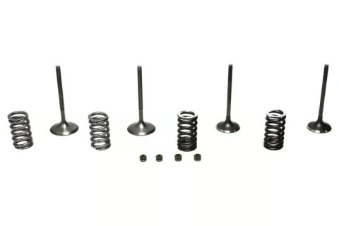 Wiseco Piston Garage Buddy Steel Valve Kits for 2002-2006 CRF450R - SVKB1403 Valves, Kits, Intake and Exhaust, Stock Head Size, use on Honda®, Kit thumbnail 2