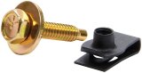Allstar Performance Body Bolt Kits with Clips ALL18559-50 Bolt, Clips, Steel, Gold Iridited, 1/4 in.-20 Thread, 1 1/8 Length, Set of 50 thumbnail 2