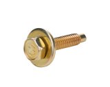 Allstar Performance Body Bolts ALL16554-50 Fasteners, Bolts, Hex Head, 1/4 in.-20 Thread Size, 1.125 in. Length, Steel, Gold Iridited, Set of 50 thumbnail 2