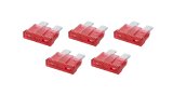 Allstar Performance Electrical Fuses ALL76365 ATC/ATO Fuse 10 AMP thumbnail 2