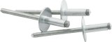 Allstar Performance Large Head Rivets ALL18151 Rivets, Blind Rivets, 3/16 in. Rivet, 5/8 in. Head, Aluminum, Silver, Set of 250 thumbnail 1