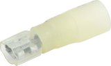 Allstar Performance Terminal Connectors ALL76088 Electrical Wiring Connectors, Tin Plated Copper, 1/4 in. Stud Spade with Shrink Sleeve, Female, 10-12 Gauge, Set of 10 thumbnail 1