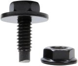 Allstar Performance Body Bolt Kits ALL18553 Bolts, Steel, Black Oxide, 1/4 in.-20, .750 in. Length, Set of 10 thumbnail 1