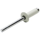Allstar Performance Small Head Rivets ALL18001 Rivets, White, Steel, Aluminum, Size 3/16 in., Diameter 3/8 in., Grip Range 0.250-0.375 in., Set of 250. thumbnail 1