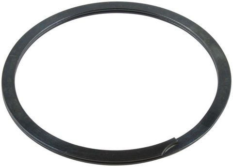 Allstar Performance Birdcage Bearings ALL55054 Spirolox for Birdcages, Each