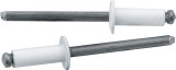 Allstar Performance Small Head Rivets ALL18114 Rivets, Blind Rivets, 3/16 in. Rivet, 3/8 in. Head, Aluminum/Steel, White, Set of 250 thumbnail 1