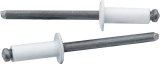 Allstar Performance Small Head Rivets ALL18114 Rivets, Blind Rivets, 3/16 in. Rivet, 3/8 in. Head, Aluminum/Steel, White, Set of 250 thumbnail 2