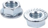 Allstar Performance Nuts ALL16044-10 serrated flange nuts, 1/2 in-13. 10-pack. thumbnail 2