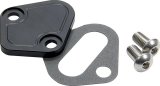 Allstar Performance Billet Aluminum Fuel Pump Block-Off Plates ALL40307 Plate, Aluminum, Black Anodized, Chevy, Big Block, Each thumbnail 1