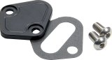 Allstar Performance Billet Aluminum Fuel Pump Block-Off Plates ALL40307 Plate, Aluminum, Black Anodized, Chevy, Big Block, Each thumbnail 2
