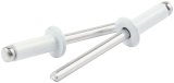 Allstar Performance Small Head Rivets ALL18116 Rivets, Blind Rivets, 3/16 in. Rivet, 3/8 in. Head, Aluminum, White, Set of 250 thumbnail 1