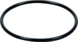 Allstar Performance Water Neck Gaskets and O-Rings ALL99356 Replacement O-Ring For Large Filler Cap thumbnail 1