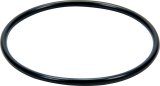 Allstar Performance Water Neck Gaskets and O-Rings ALL99356 Replacement O-Ring For Large Filler Cap thumbnail 2