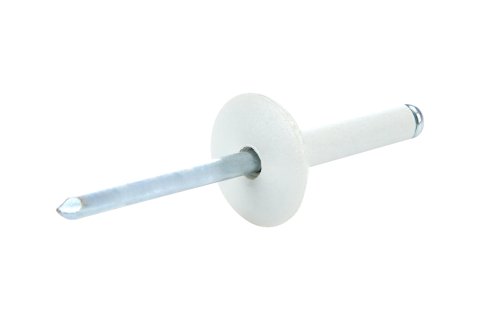 Allstar Performance Small Head Rivets ALL18031 Rivets, White, Steel, Aluminum, Size 3/16 in., Diameter 5/8 in., Grip Range 0.625-0.750 in., Set of 250. thumbnail 2