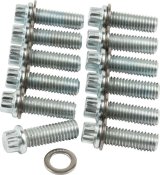 Allstar Performance Intake Manifold Bolt Kits ALL87010 Bolts, Manifold, Steel, Clear Zinc Plated, 12-Point Head, Chevy, Small Block, Mopar, Set of 12 thumbnail 2
